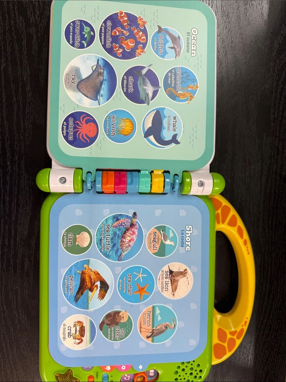 LeapFrog 100 Animals Book - Yellow & Green Interactive Learning Toy